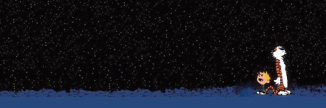 BigBlueNole's profile banner image