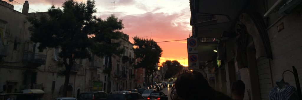 ivanadauwer's profile banner image