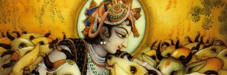 Omtrapasiya's profile banner image