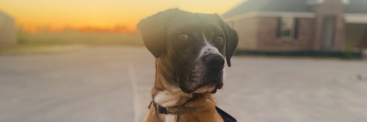 taylorraek3's profile banner image