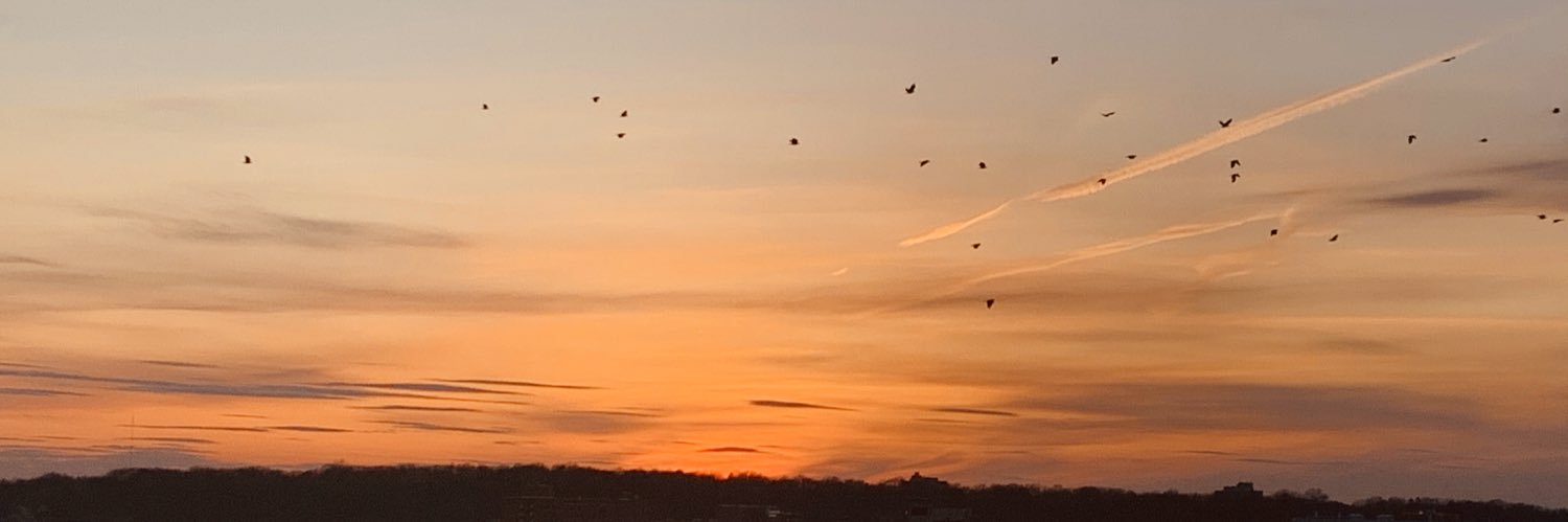 melw2502's profile banner image