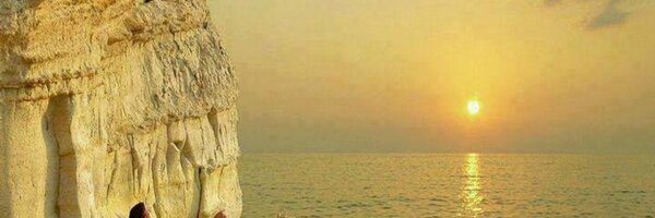 btspitboss Profile Banner