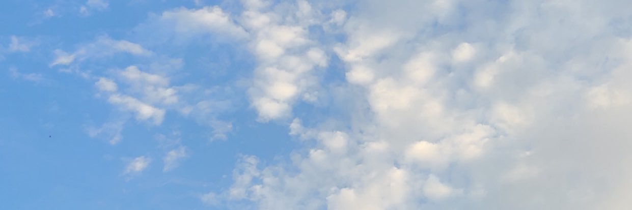 COLE • banner