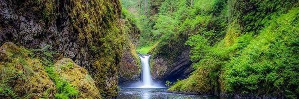 1964Sukhee Profile Banner