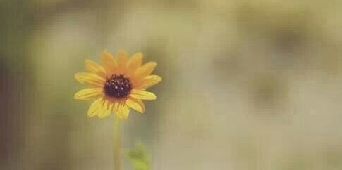 _ACamila's profile banner image
