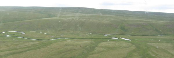 harmstk Profile Banner