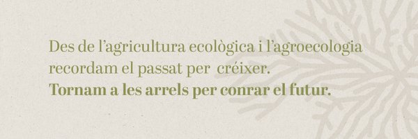 APAEMA Profile Banner