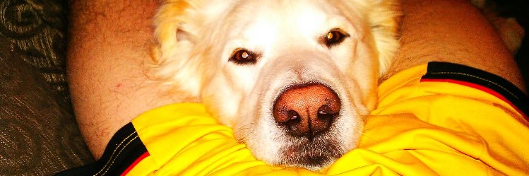 harryson4's profile banner image