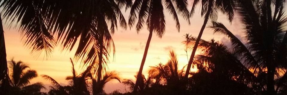 TerrinaJoy's profile banner image
