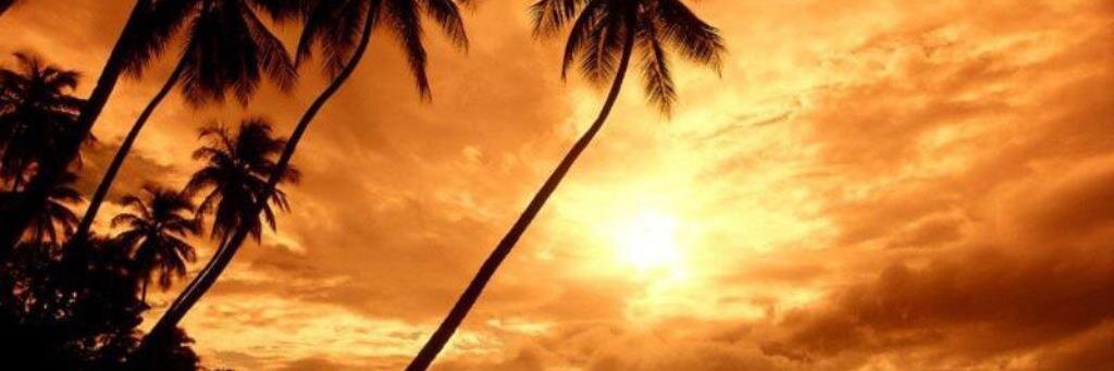 السَّنع banner