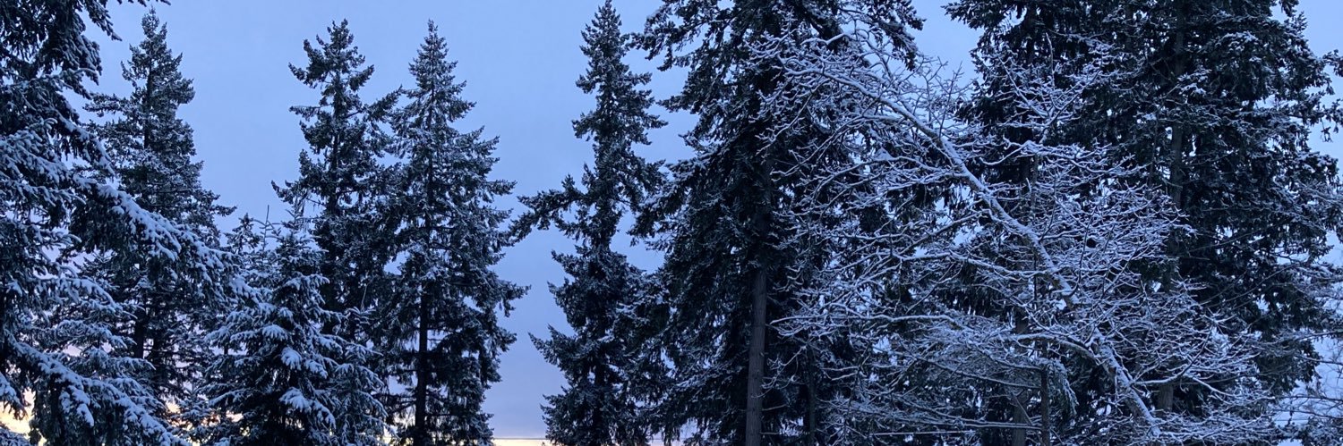 xlrplx's profile banner image