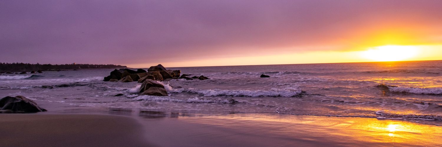 Amy Conrad banner