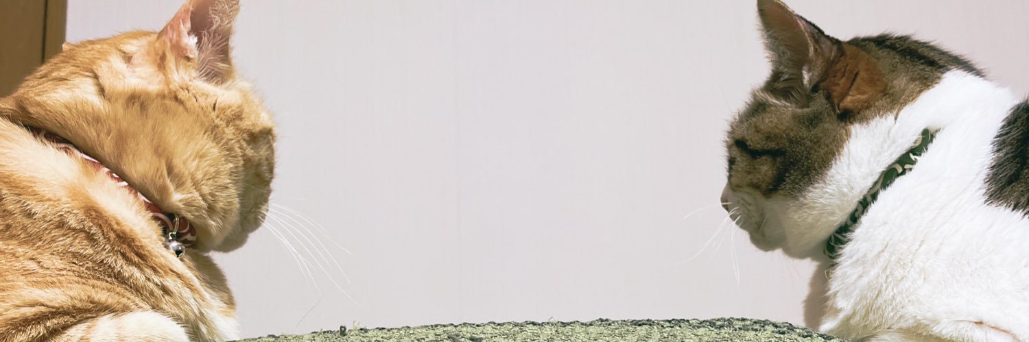 yuimaru_0715's profile banner image