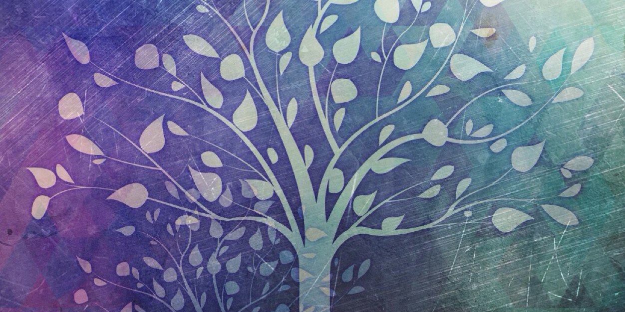 hermisne's profile banner image