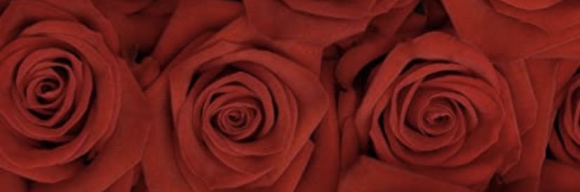 thee_viejo's profile banner image