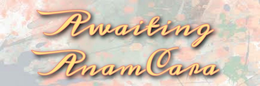 virikkaa's profile banner image