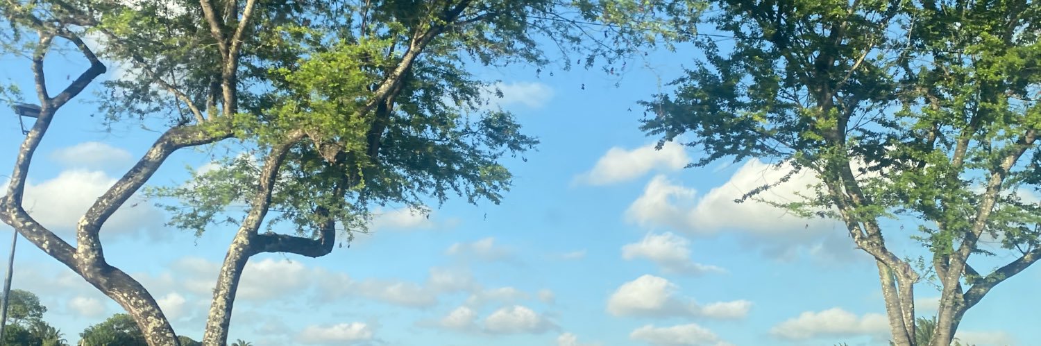 mbiamonteiro's profile banner image
