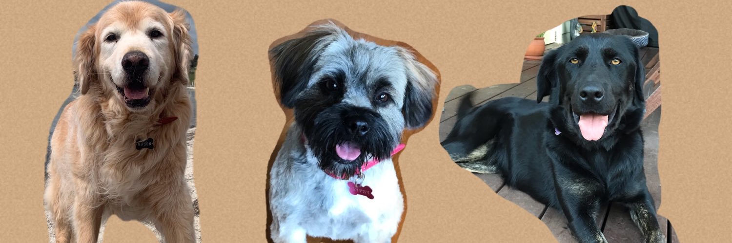 PPrimMich's profile banner image