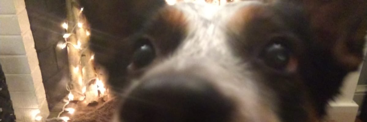 megnleon's profile banner image