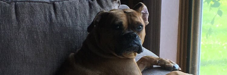 AlexDanko26's profile banner image