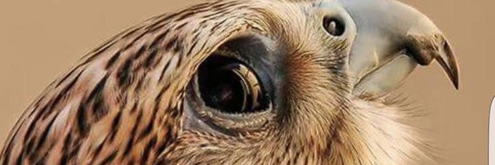 1160168791's profile banner image