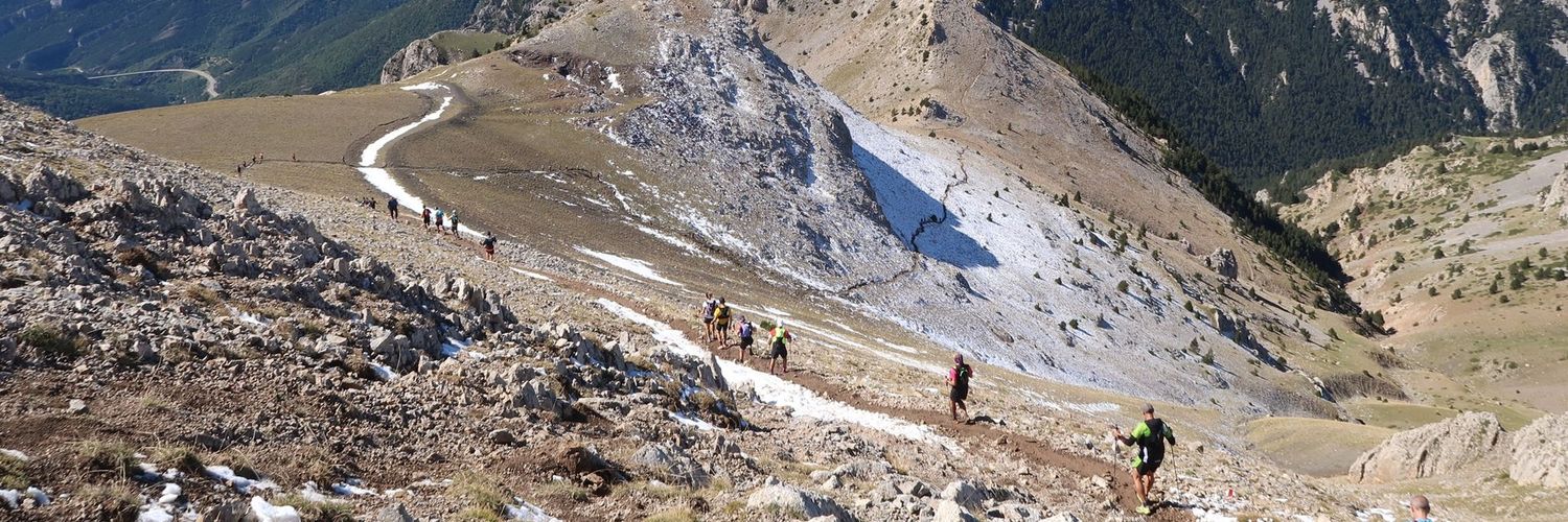 josep m fuentes ros banner