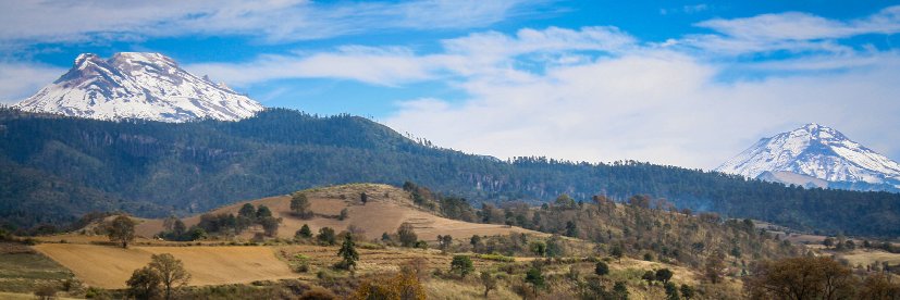 Mauricio Valdés R. banner