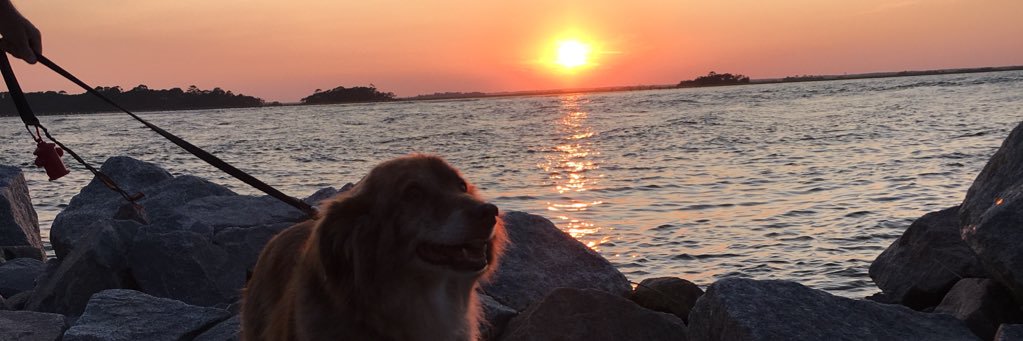 meggieacky's profile banner image