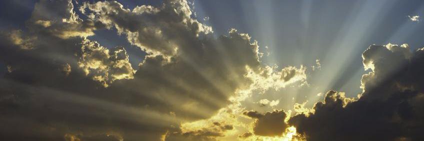 Haarlem Nieuws banner