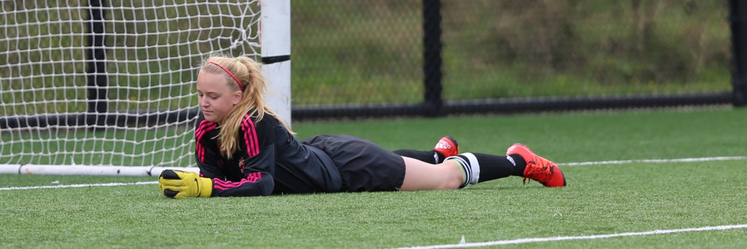 Chelsea_Smidtsy's profile banner image
