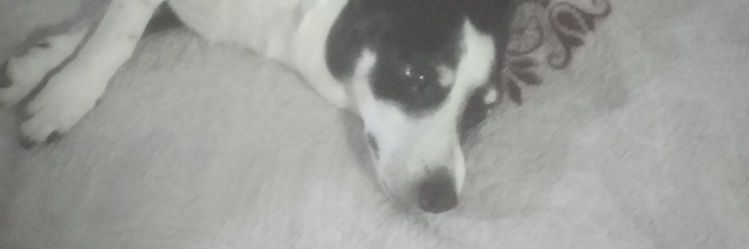 lbkuhn's profile banner image