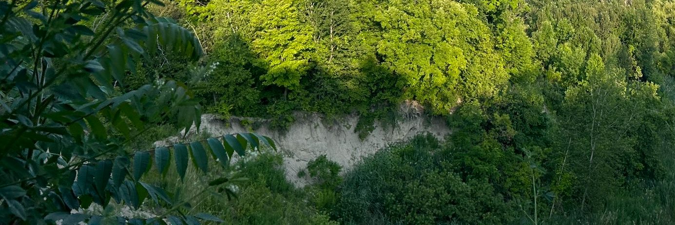irulkoy33's profile banner image