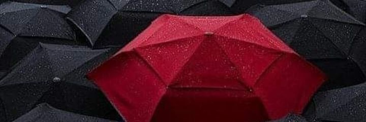 FKemerer's profile banner image