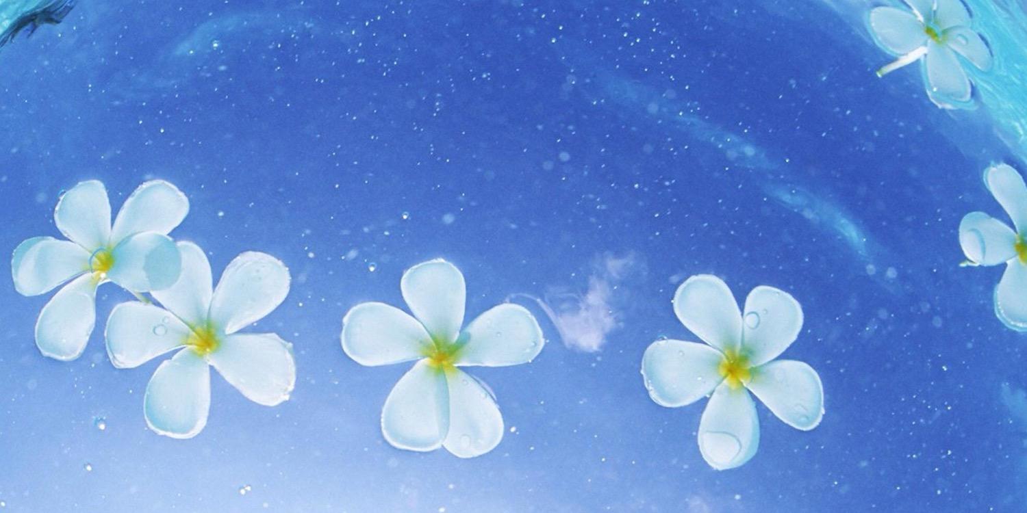 kiyora033's profile banner image