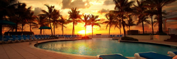 pelicangrand Profile Banner