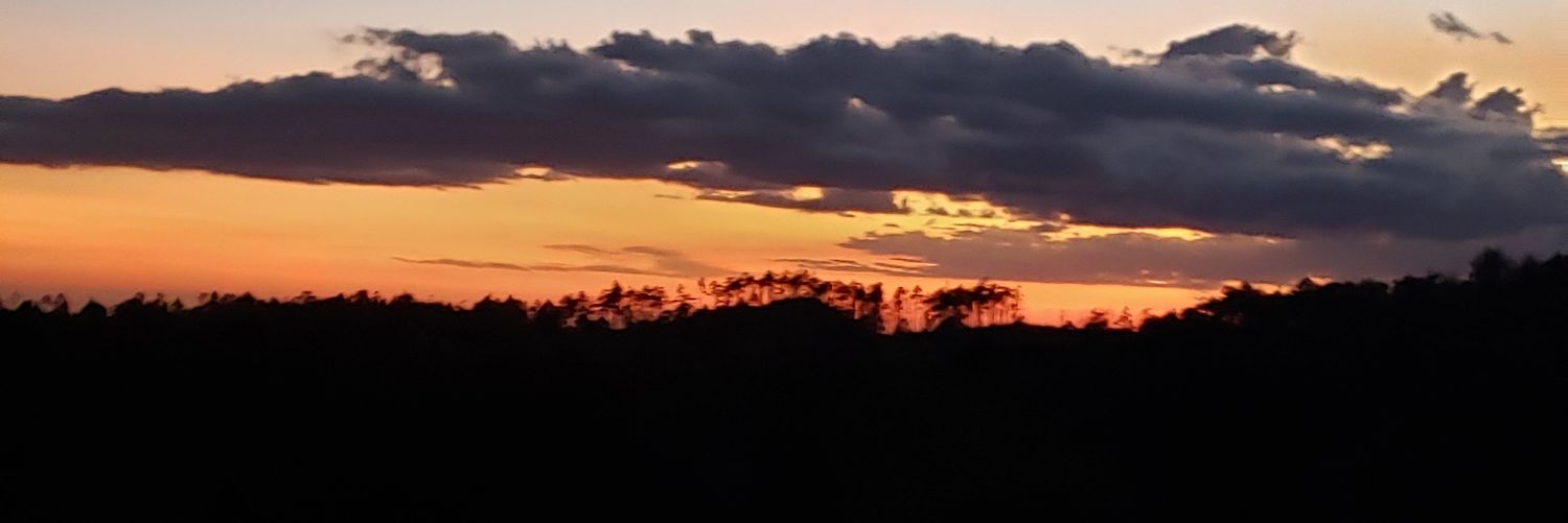stephygoc's profile banner image