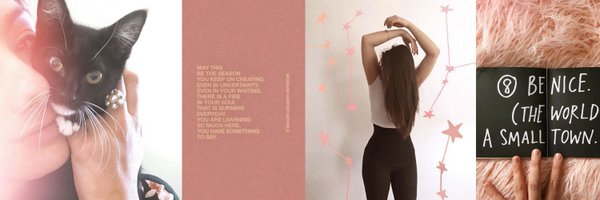 AmandaRoseZamp Profile Banner