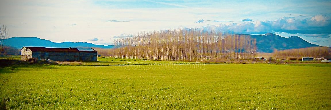 LeandroMartinV's profile banner image