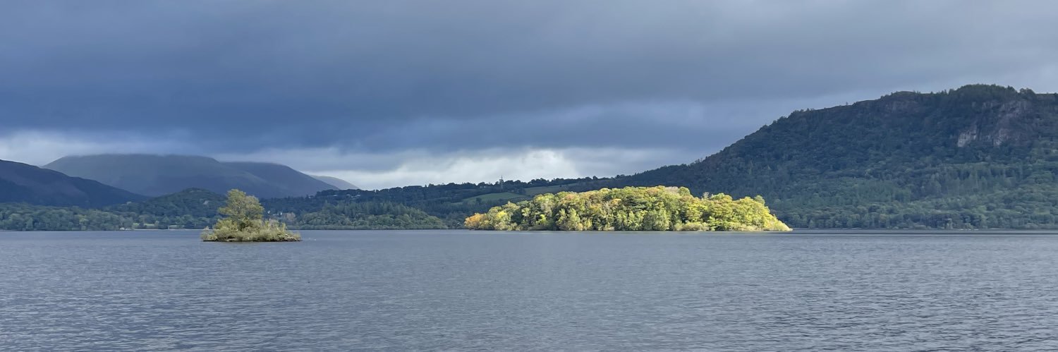 christine crone banner