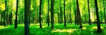 unpyocopin's profile banner image