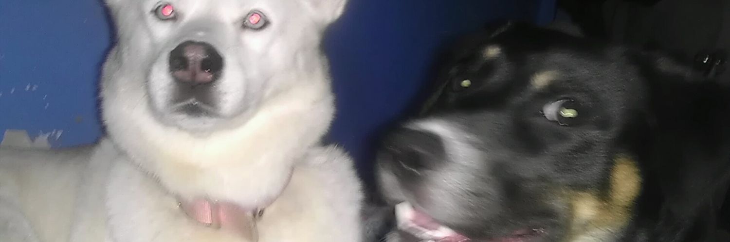 JeffreyMW's profile banner image