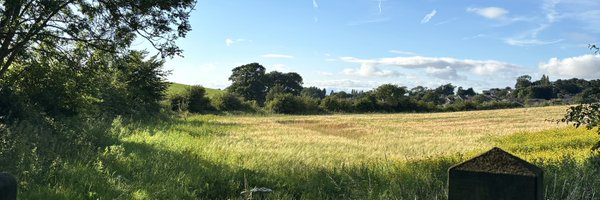 elizaamber Profile Banner