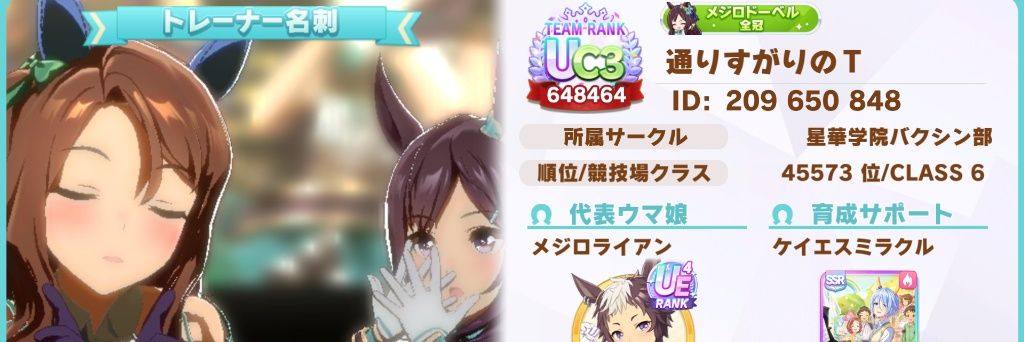 通りすがりのT banner