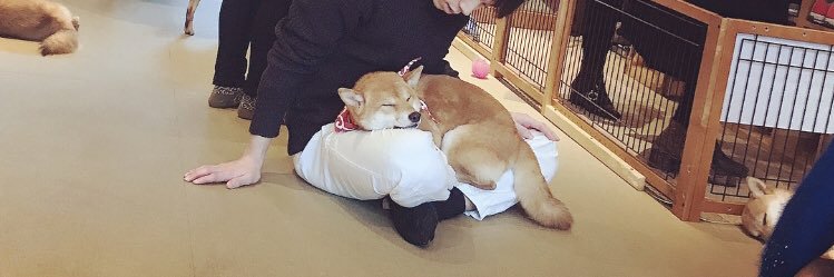 cocoa_run_'s profile banner image