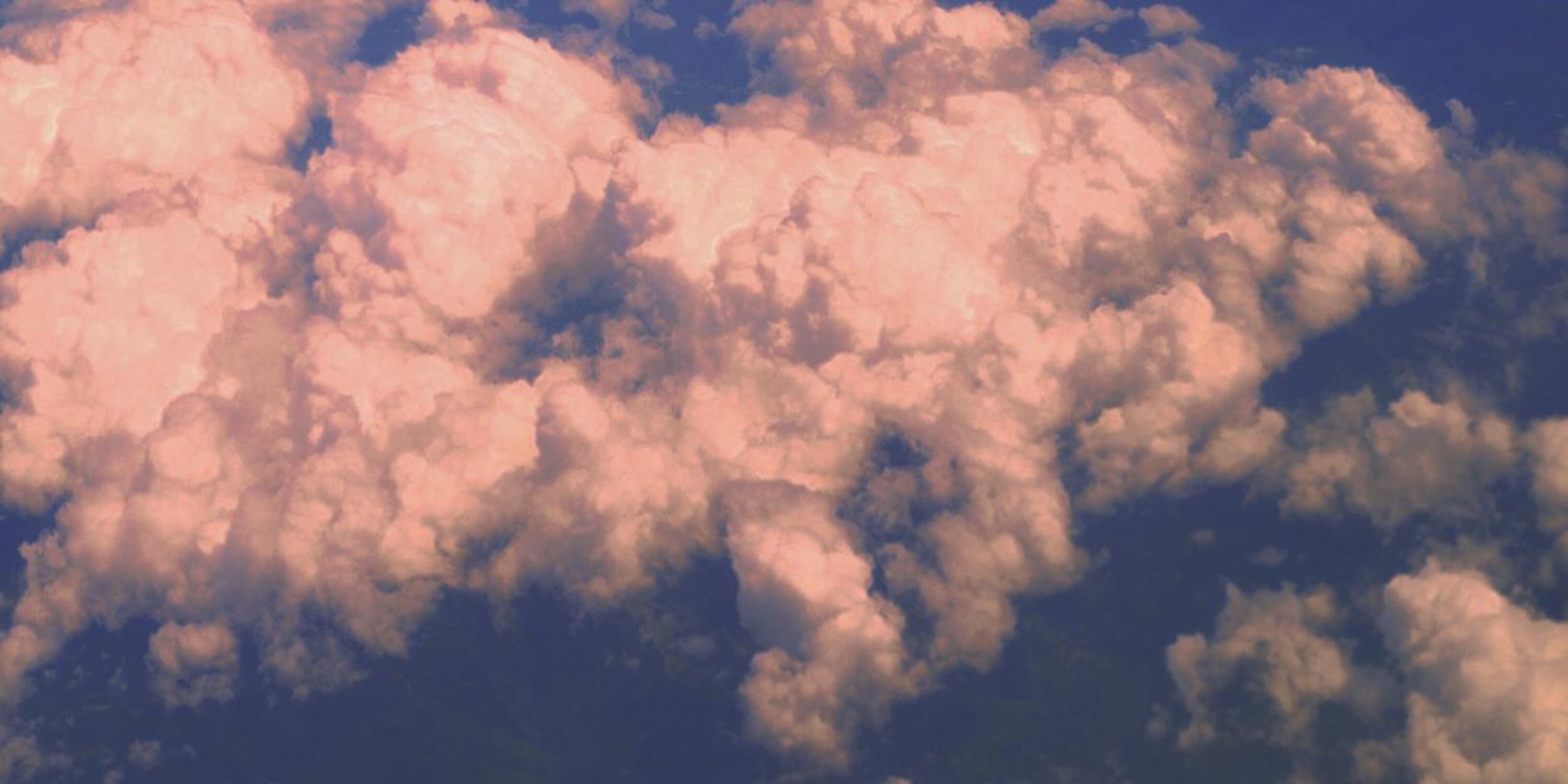 MonCanardTmblr's profile banner image