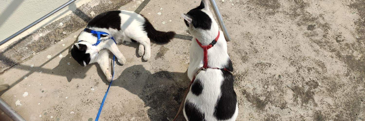 Arpita Sarkar banner