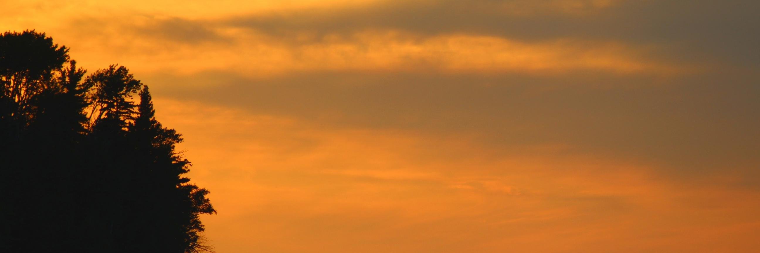 Daniel loomis banner