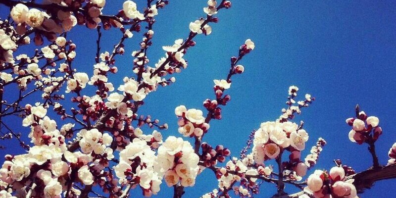 Amne_zbc's profile banner image
