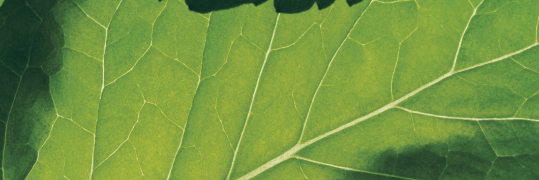 KCharlesCo's profile banner image