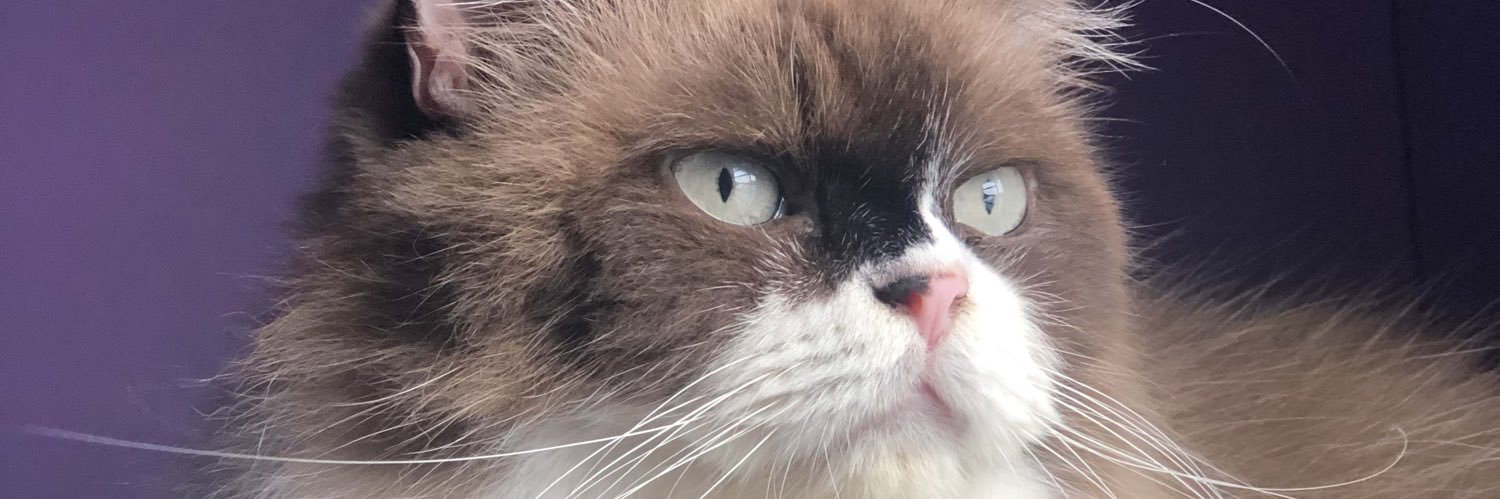 ohhsera's profile banner image